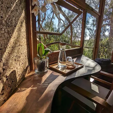 Magical Treehouse