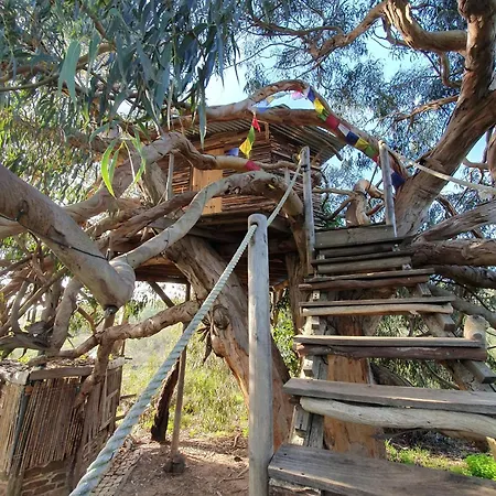 Luxussátor Magical Treehouse Lagos