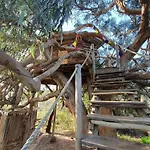 Lyxtält Magical Treehouse Lagos
