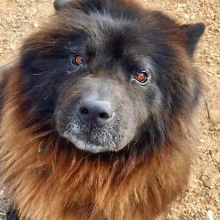 Magical Treehouse Lagos