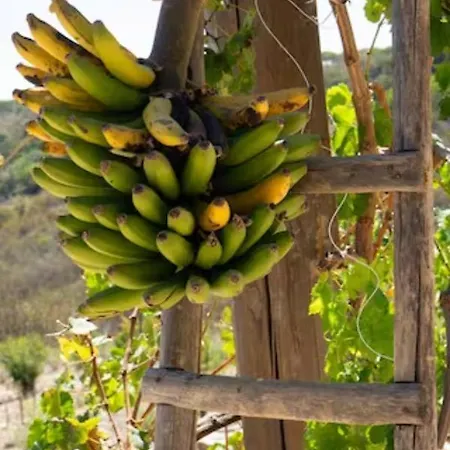 Magical Treehouse * Lagos