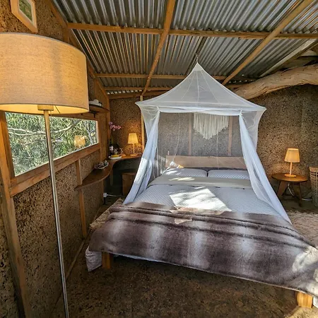 Magical Treehouse * Lagos