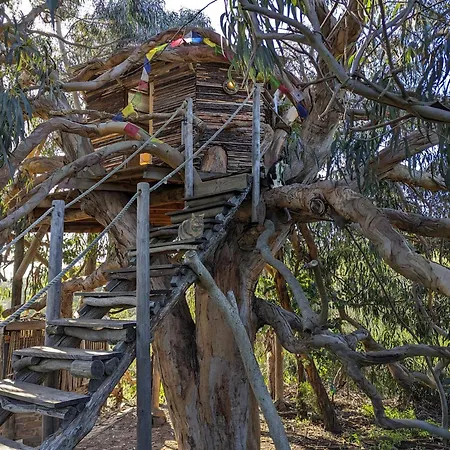 Magical Treehouse Glamping
