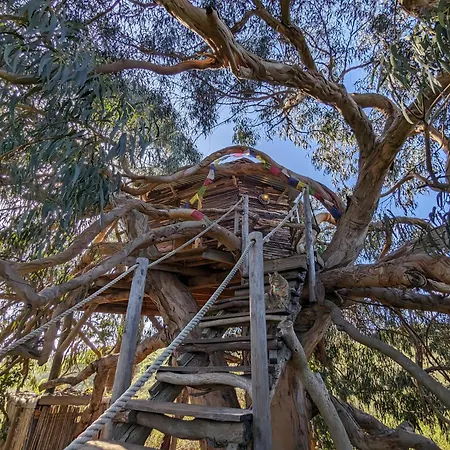 Magical Treehouse Glamping