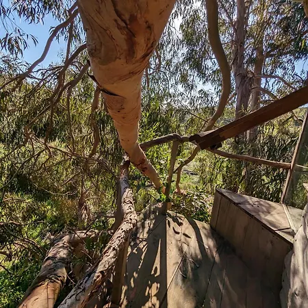 Magical Treehouse * Lagos