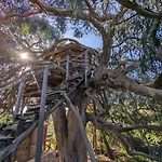Magical Treehouse ラゴス