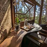 Magical Treehouse