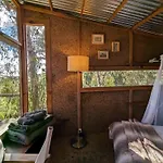 Magical Treehouse