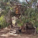 Tente de luxe Magical Treehouse