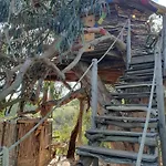 Magical Treehouse