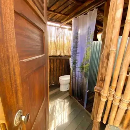 Magical Treehouse 拉哥斯