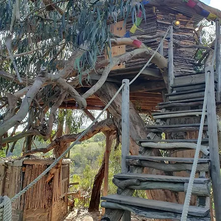 Magical Treehouse