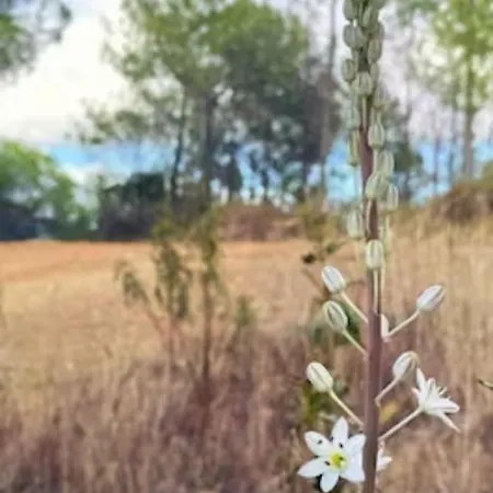 Magical Treehouse Lagos