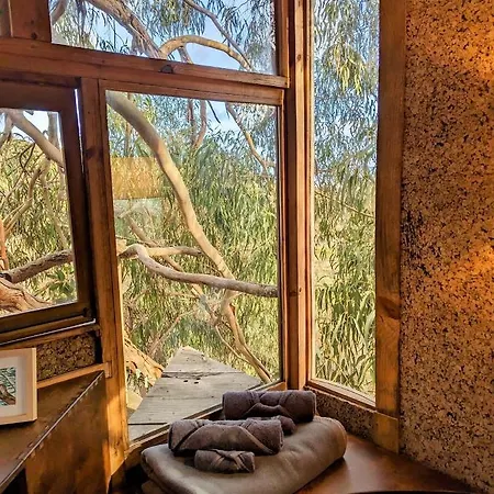 Luxury tent Magical Treehouse