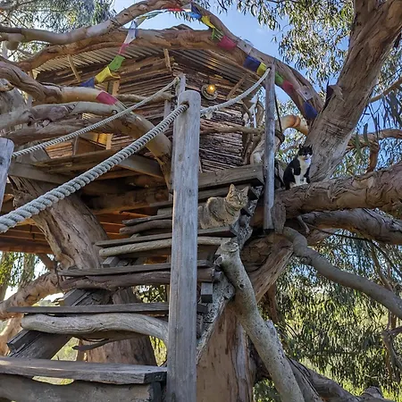 Magical Treehouse Luxury tent Lagos
