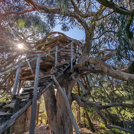 Magical Treehouse Luxury tent *