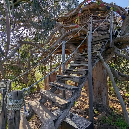 Magical Treehouse Luxuszelt *