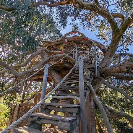 Luxury tent Magical Treehouse