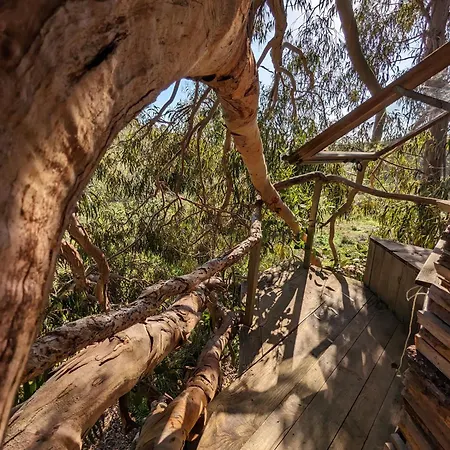 Luxuszelt Magical Treehouse *