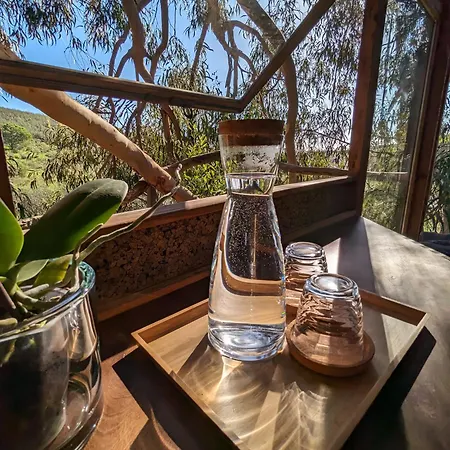 Magical Treehouse Luxuszelt Lagos