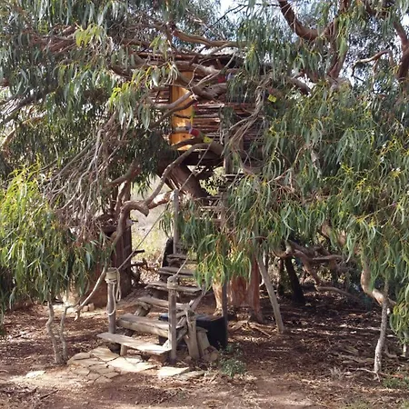 Luxury tent Magical Treehouse