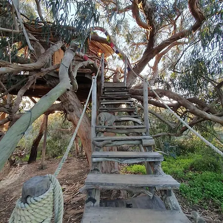 Luxuszelt Magical Treehouse