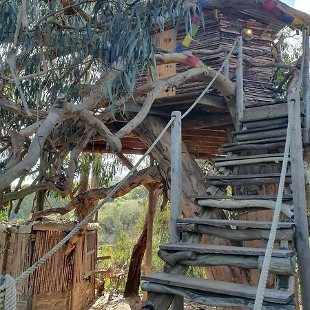 Magical Treehouse
