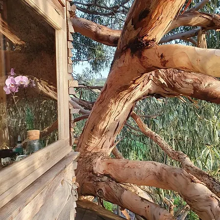 Magical Treehouse Luxuszelt