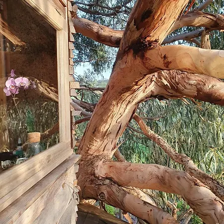 Magical Treehouse Luxury tent
