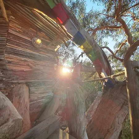 Magical Treehouse Luxuszelt *