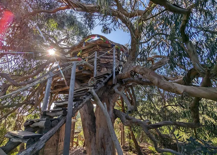 Magical Treehouse ラゴス